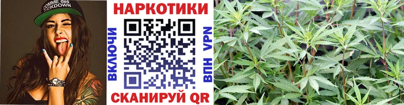Купить наркотики цена Ардатов Конопля  blacksprut вход  КОКАИН  СОЛЬ  Псилоцибиновые грибы  ГАШИШ  АМФЕТАМИН  Мефедрон 