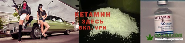 крисы Алзамай