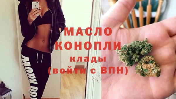 крисы Алзамай